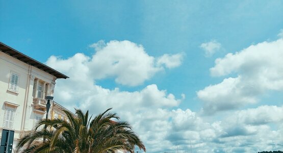 Meer,Palme,Häuser | ©  Pexels