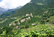 Weinfelder,Schloss,Berge | © Schloss Tirol bei Meran (C) Manuela Strasser.JPG