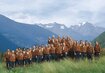 Männer,Berge,Wiese | © (c) Turismo val di Sole.jpg