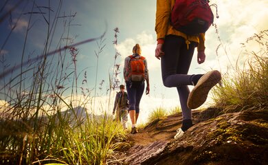Wandern,Wiese,Blume | © shutterstock_209357416