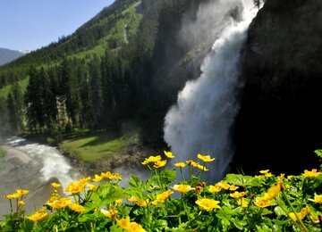 Wasserfall, Blumen, Berg | ©  (c) Ferdinand Rieder