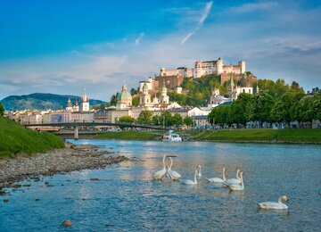 Schwan, Fluss,Bäume | ©  (c) Salzburg Tourismus