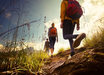 Wanderer, Berg, Wiese | © shutterstock_209357416