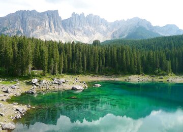 See,Wald,Berge | © carezza-lake-9352996_1280