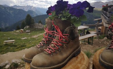 Bergschuhe,Blumen,Alm | © (c) jasmin egger