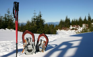 Schnee,Schneeschuhe,Stöcke | © (c) Pixabay