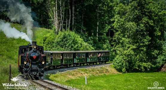 Zug,Wald,Eisenbahn | © (c) Schlachter Andreas Photography_Wälderbähnle