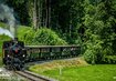 Zug,Wald,Eisenbahn | © (c) Schlachter Andreas Photography_Wälderbähnle