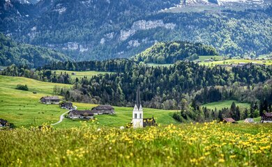Wald, Blumen, Berge | © (c) Pixabay von webentwicklerin_Bregenzerwald