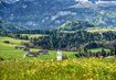 Wald, Blumen, Berge | © (c) Pixabay von webentwicklerin_Bregenzerwald