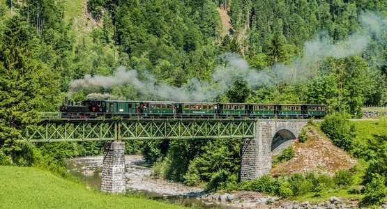 Bahn,Wald,Museum | © (c)Bregenzerwaldbahn_Museumsbahn