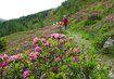 Wandern Osttirol | © Herma Haschka Wandern Osttirol | © Herma Haschka