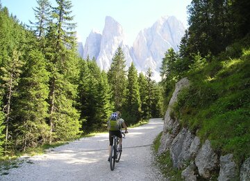 Mountainbike Wald Weg Berge | © Pixabay