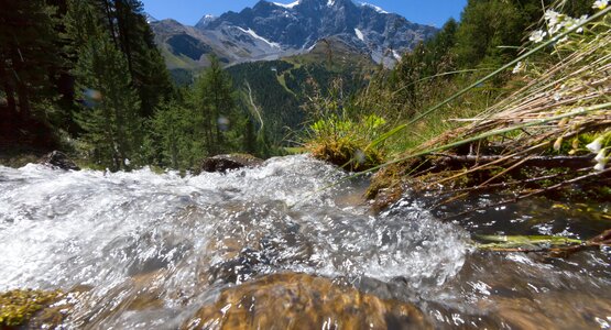 Bach,Berge,Bäume,Wasser | © (c) Ferienregion Ortlergbiet_Frieder Blickle (7)