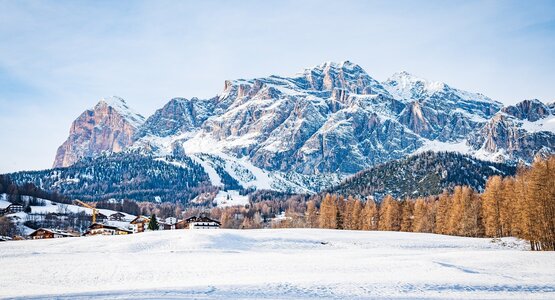 Berge,Schnee,Bäume | © (C) Pixabay