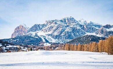 Berge,Schnee,Bäume | © (C) Pixabay