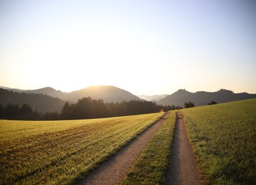 Johannesweg | © Robert Diesenreither Johannesweg Österreich Wandern Landschaft Österreich Natur | © Robert Diesenreither