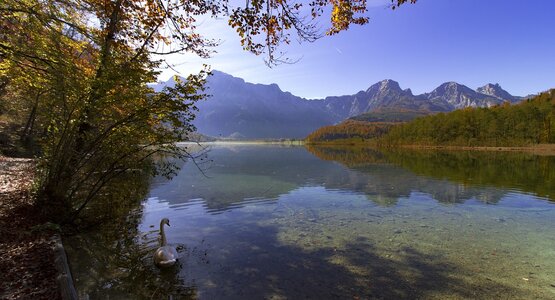 Almtal Almsee Herbst Wasser Schwäne Österreich Salzkammergut | © Pixabay