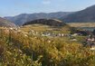 Wachau Weinberge | © Brigitte Grüner Wachau Weinberge Österreich Niederösterreich Wandern | © Brigitte Grüner