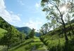 Pielachtal | © Mostviertel Tourismus Pielachtal Österreich Weinviertel Dirndblüte Blüte | © Mostviertel Tourismus