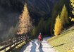 Wandern | © Herma Haschka Wandern Berge Herbst Natur | © Herma Haschka