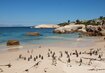 Südafrika | © www.dein-suedafrika.de Südafrika Afrika Pinguine Meer Strand Küste | © www.dein-suedafrika.de