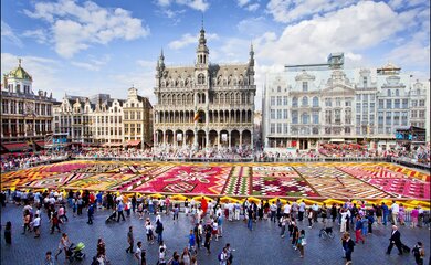 Brüssel Belgien Flowercarpet Blumenteppich | © Flowercarpet