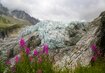 Chamonix Gletscher | © OT-Vallée de Chamonix-Salome Abrial Chamonix Frankreich Argentiere Glacier Tal Berg Schnee Wandern | © OT-Vallée de Chamonix-Salome Abrial
