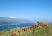 Samos | © Brigitte Grüner Samos Insel Wandern Meer Küste Blumen Sonne Griechenland | © Brigitte Grüner