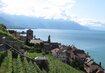 Genfer See Lavaux | © Brigitte Grüner Genfer See Schweiz | © Brigitte Grüner